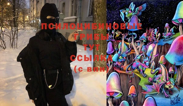 бошки Гатчина