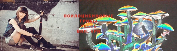 спиды Абдулино