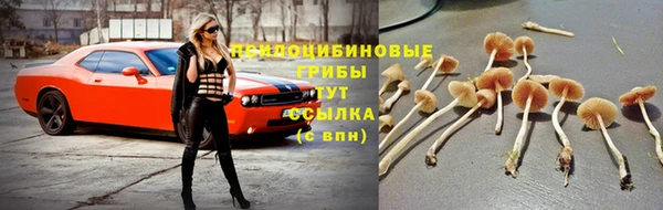 кокс Алексеевка